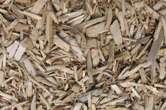 biomass boilers Dunandhu